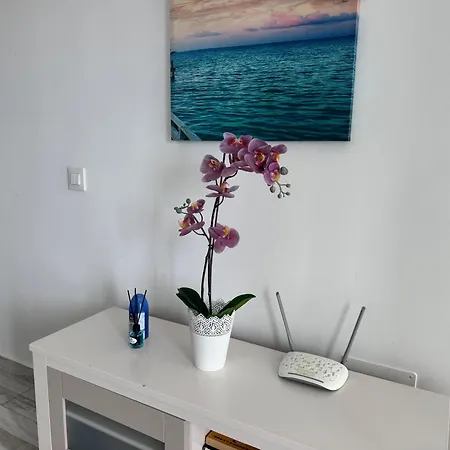 San Eugenio Stunning With Pool Tenerife