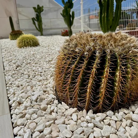 San Eugenio Stunning With Pool Tenerife Apartment