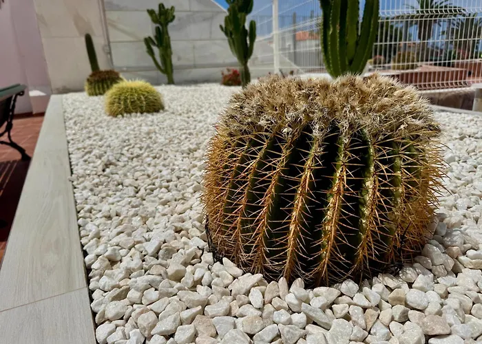 San Eugenio Stunning With Pool Tenerife Appartement